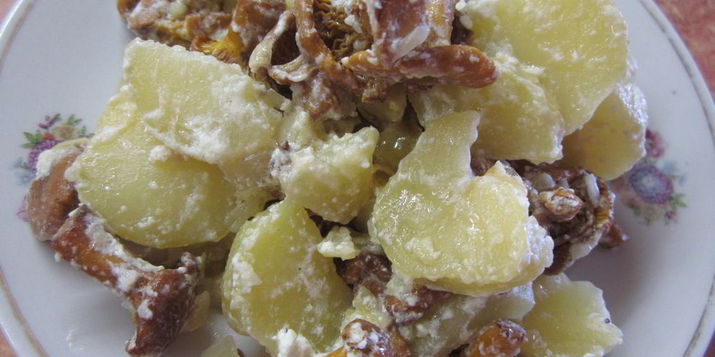 Как приготовить грибы с картошкой в сметане