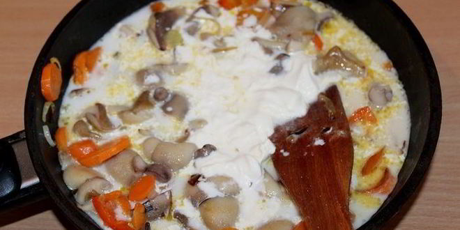 Рецепт грибов с сырными сконами