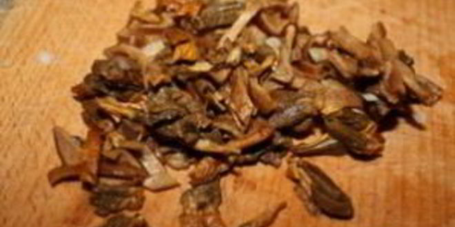 Рецепт лисичек, жареных с рисом