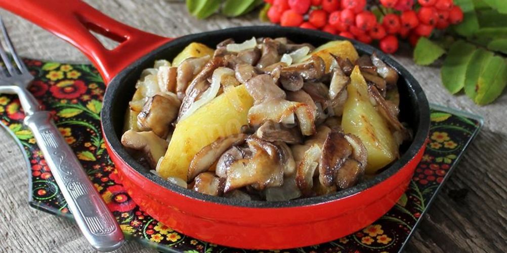 Как приготовить маслята жареные с картошкой
