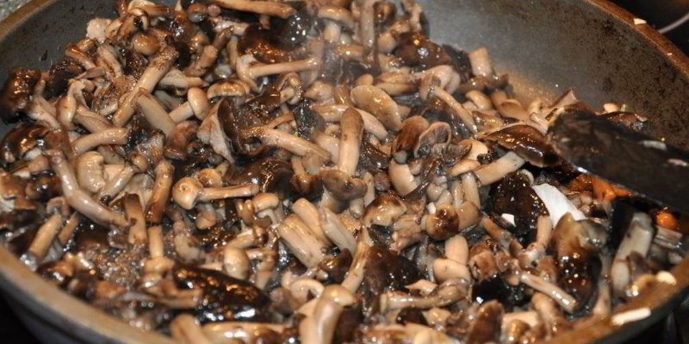 Как приготовить опята тушеные