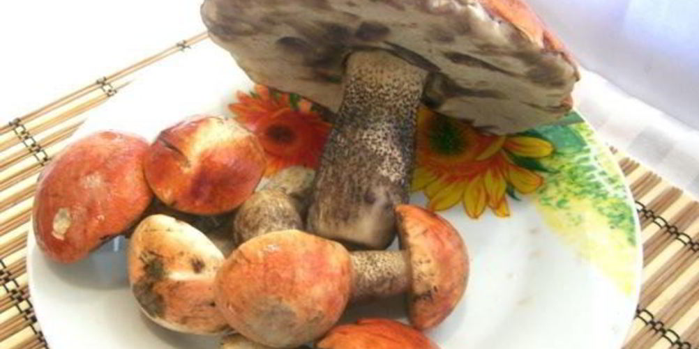 Как приготовить подосиновики, жареные с луком