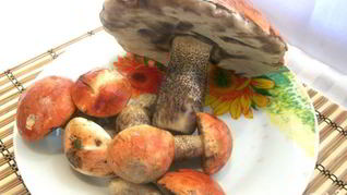 Рецепт Подосиновиков, жареных с луком