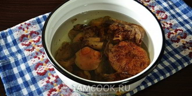 Рецепт рыжиков жареных