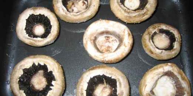 Рецепт шампиньонов фаршированных цуккини и сыром