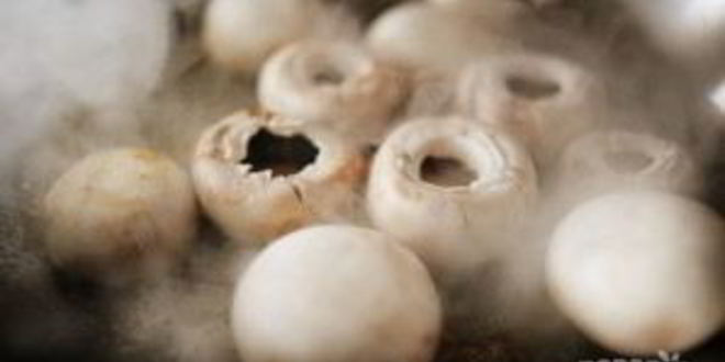 Рецепт шампиньонов под сыром в духовке