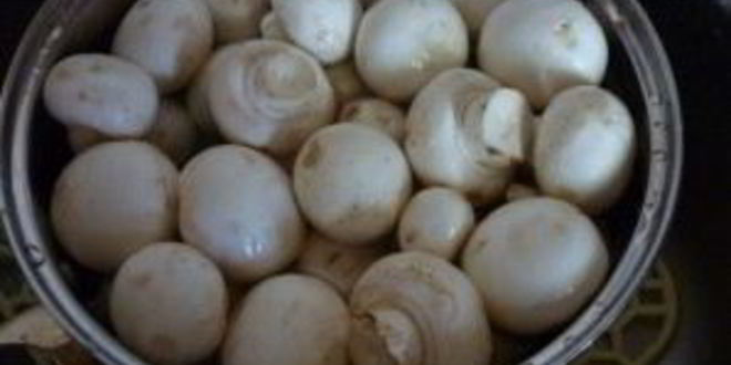 Рецепт шампиньонов, запеченных с сыром