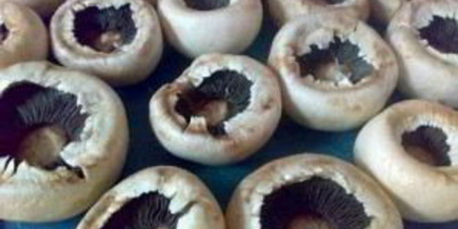 Рецепт шампиньонов, запеченных с сыром