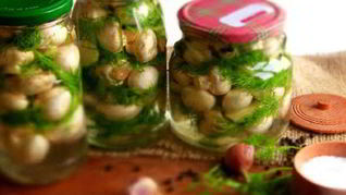 Рецепт Соленых шампиньонов