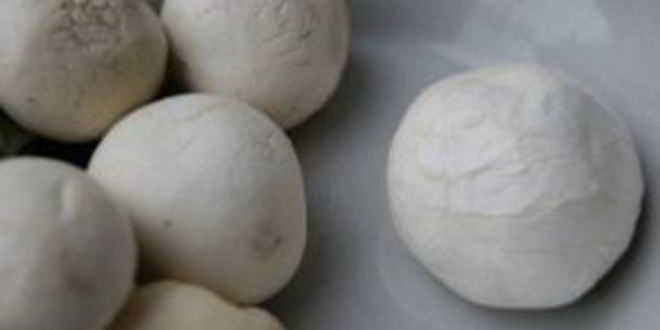 Рецепт тушеных дождевиков