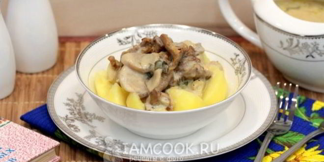 Рецепт тушеных грибов в мультиварке