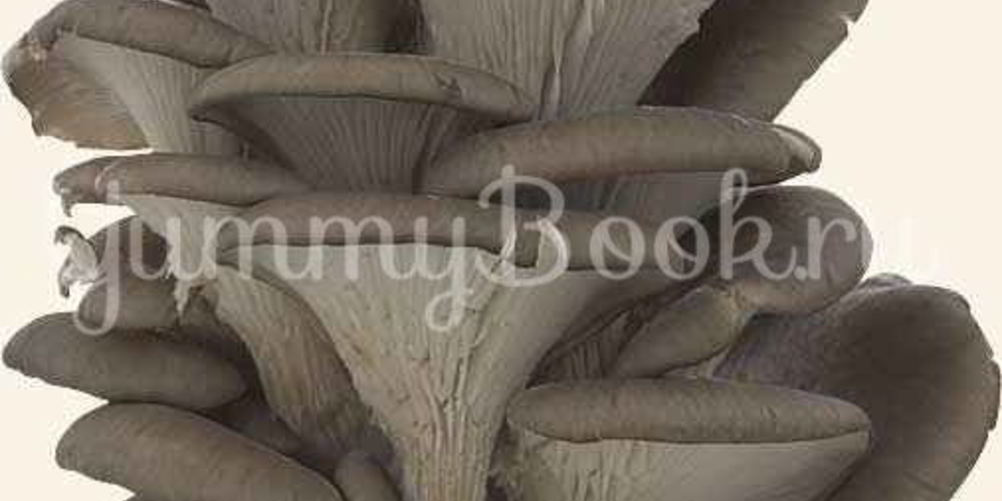 Как приготовить вешенок в маринаде