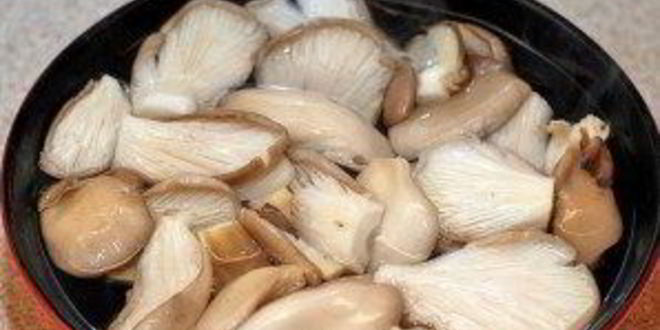 Рецепт вешенок, жареных с картошкой