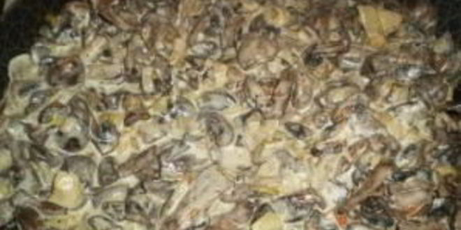 Рецепт вешенок жареных с луком и сметаной