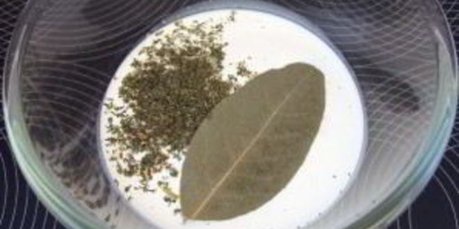 Рецепт жареных грибов с сыром