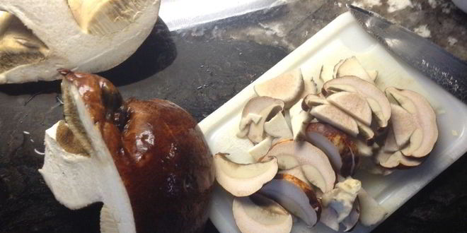 Рецепт жареных подосиновиков