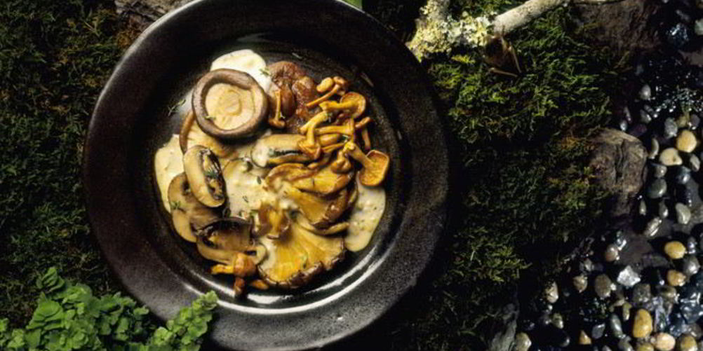 Как приготовить жареных рыжиков