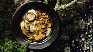 Рецепт Жареных рыжиков