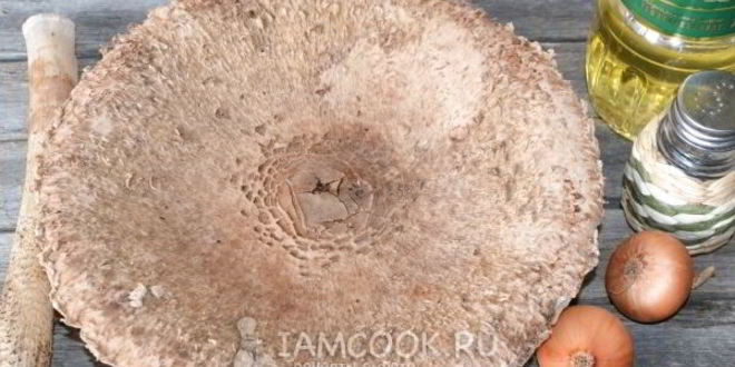 Рецепт жареных зонтиков