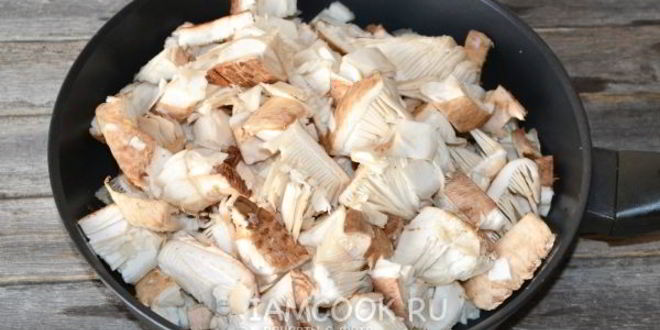 Рецепт жареных зонтиков