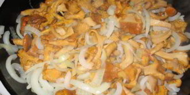 Рецепт гуляша из лисичек