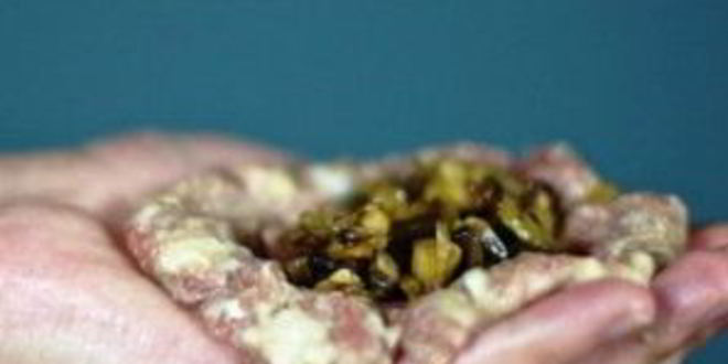 Рецепт котлет, фаршированных грибами