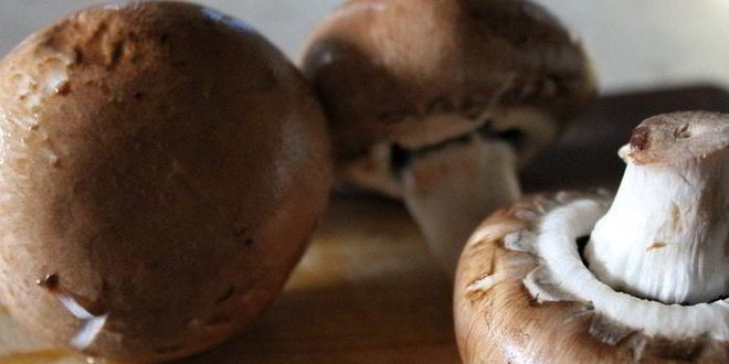 Рецепт лапши с морепродуктами и грибами