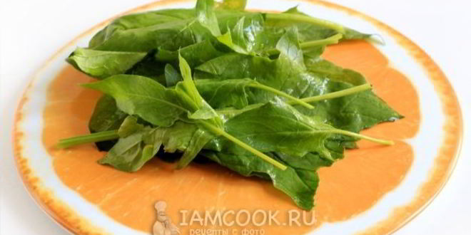 Рецепт лазаний из лаваша с фаршем и сметанным соусом