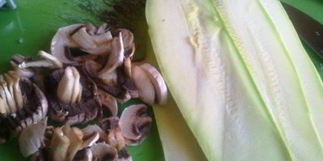 Рецепт лазаний кабачковая