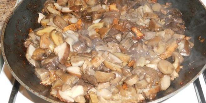 Рецепт лазаний с мясом и грибами