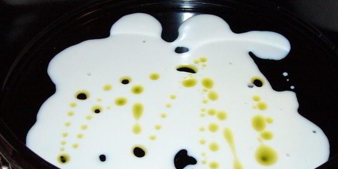 Рецепт зеленой лазанья евразия