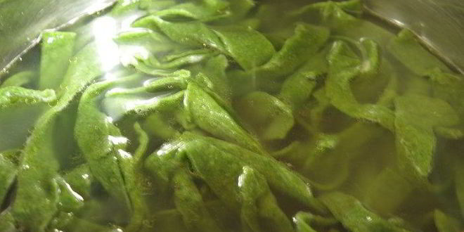 Рецепт пасты с тыквенно-сырным соусом