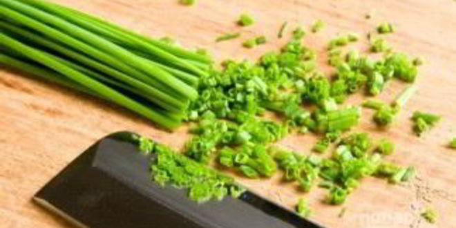 Рецепт сливочно-сырной паста