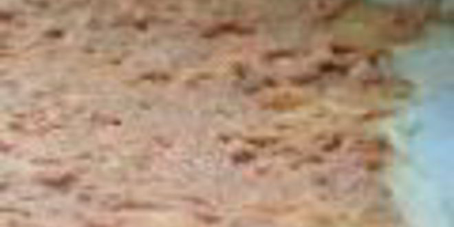 Рецепт лже-мантов