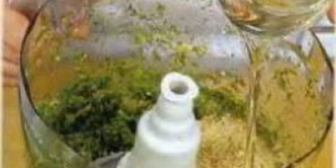 Рецепт бараньей ноги, запеченной в тесте