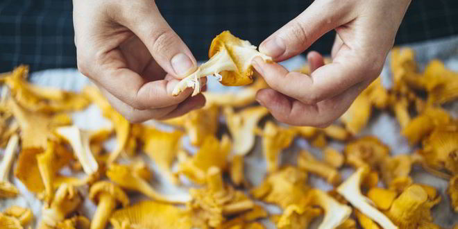 Рецепт бефстроганова с лисичками