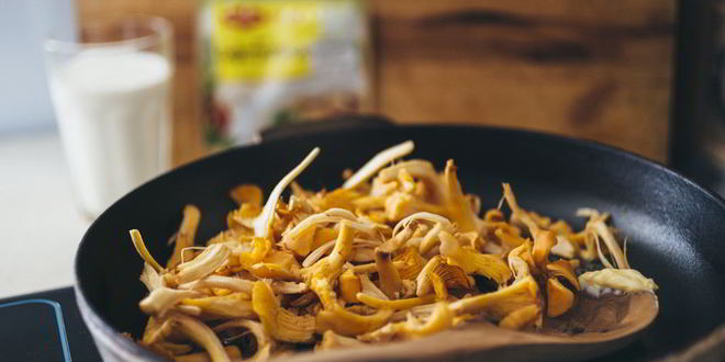 Рецепт бефстроганова с лисичками