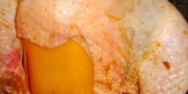 Рецепт курицы с фасолью в духовке