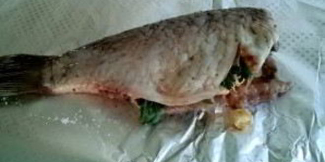 Рецепт сазана в фольге в духовке