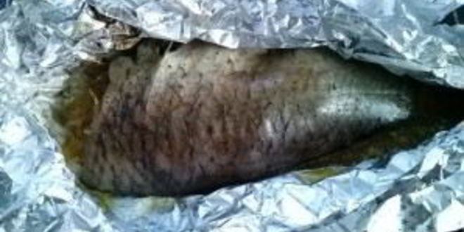 Рецепт сазана в фольге в духовке