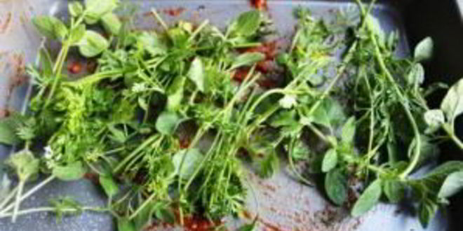 Рецепт свинины в красном вине