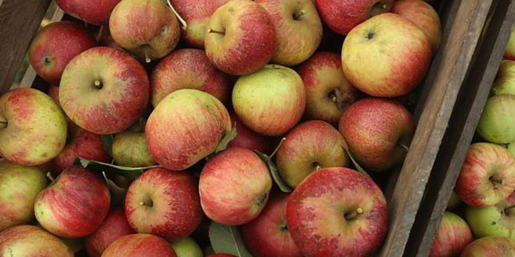 Как приготовить печень с яблоками