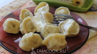 Рецепт Пельменей из судака