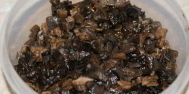 Рецепт пельменей с грибами