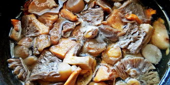 Рецепт грибного рагу с овощами