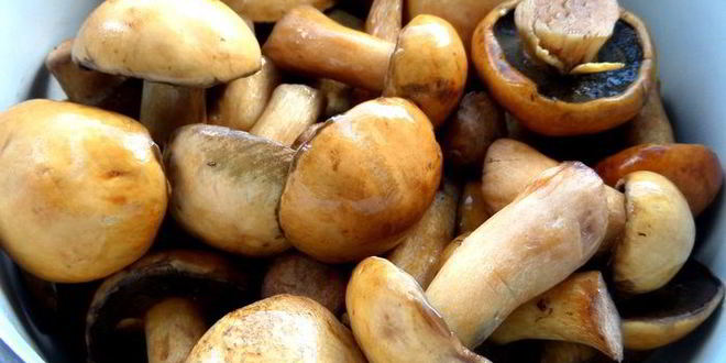 Рецепт грибного рагу в горшочках