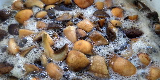 Рецепт грибного рагу в горшочках