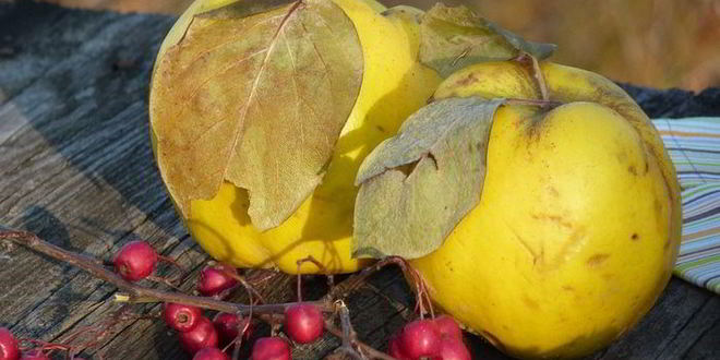 Рецепт осеннего рагу