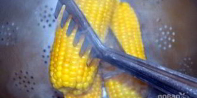 Рецепт рагу из говядины в тыкве по-аргентински