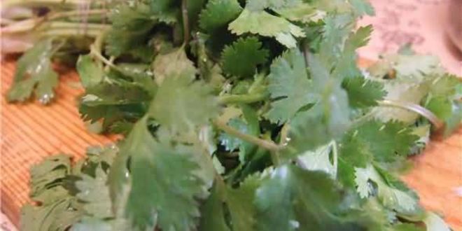 Рецепт рисовой лапши с креветками, мидиями и овощами